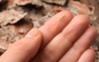 Splitter richtig entfernen - die besten Tipps und Tricks